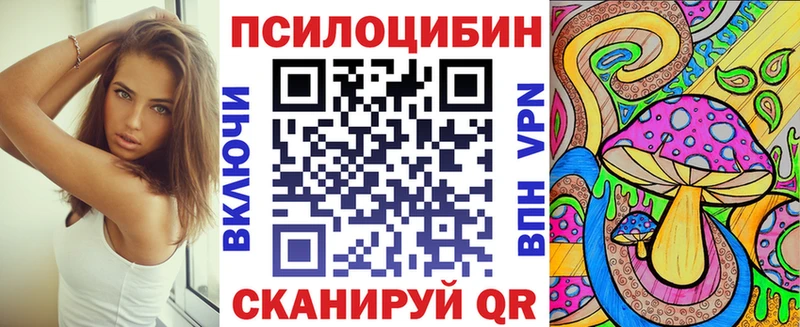 цены   Зеленоградск  Галлюциногенные грибы Psilocybe 